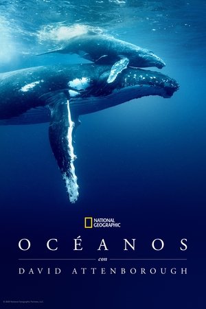 Océanos con David Attenborough